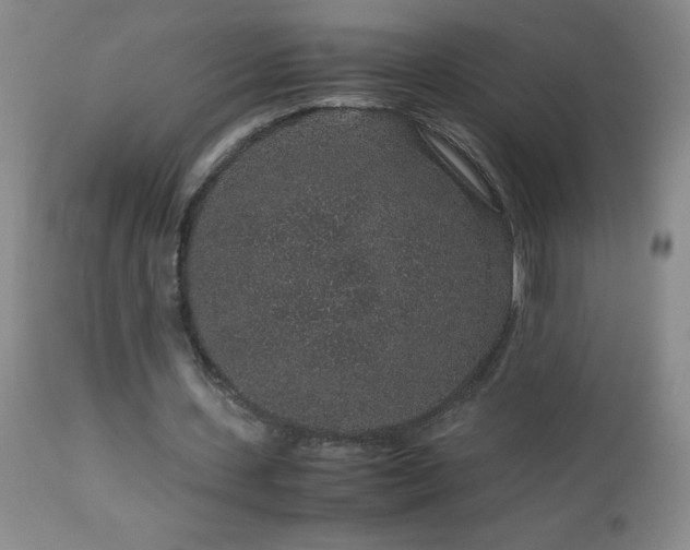 X0000113040531200908271508