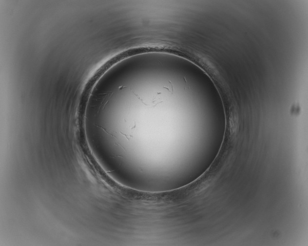 X0000113040532200908271508