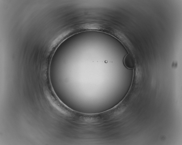 X0000113040533200908271508