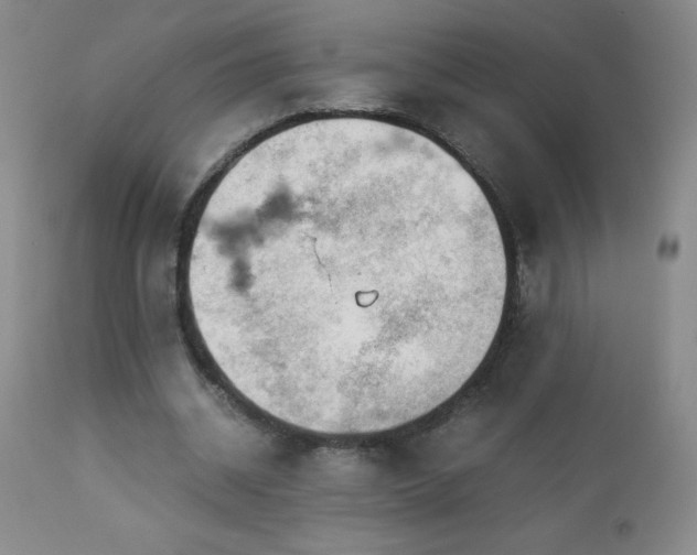 X0000113040534200908271508