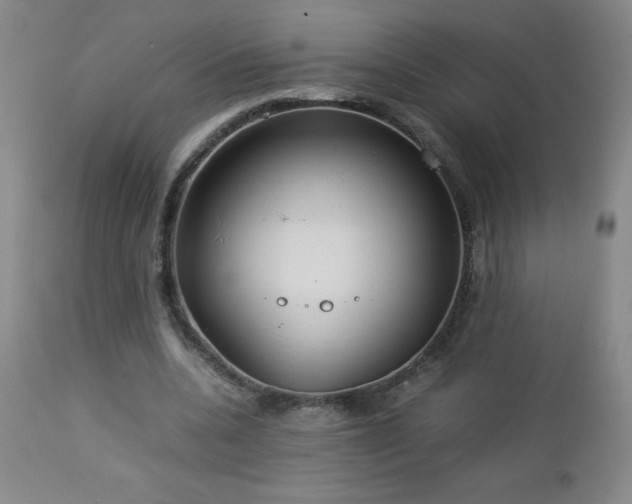 X0000113040536200908271508