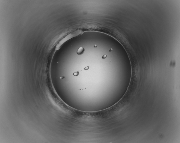 X0000113040538200908271508