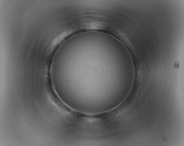 X0000113040539200908271508