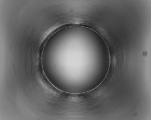 X0000113040540200908271508