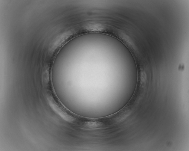 X0000113040541200908271508