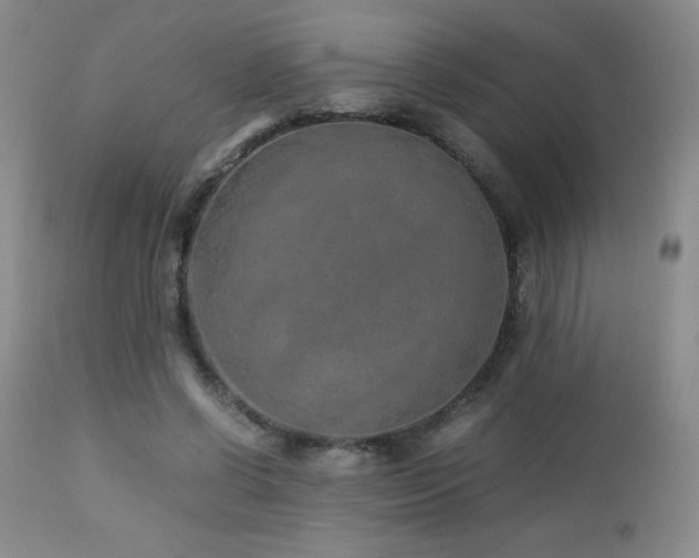 X0000113040542200908271508