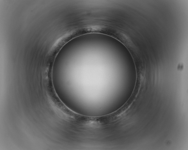 X0000113040543200908271508