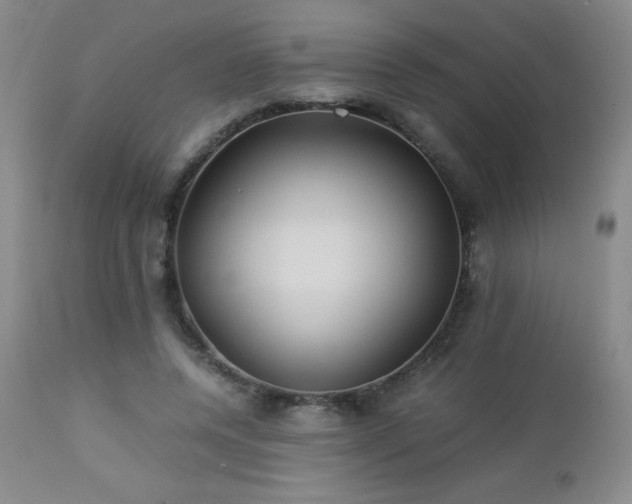 X0000113040544200908271508