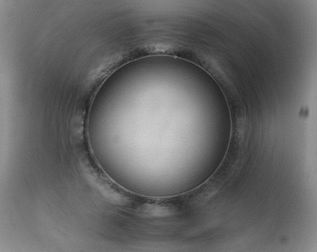 X0000113040545200908271508