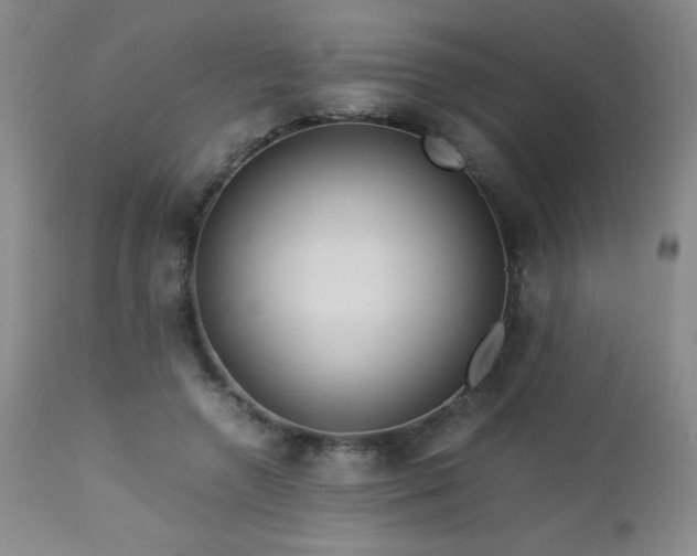 X0000113040546200908271508