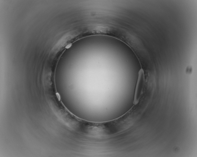 X0000113040548200908271508