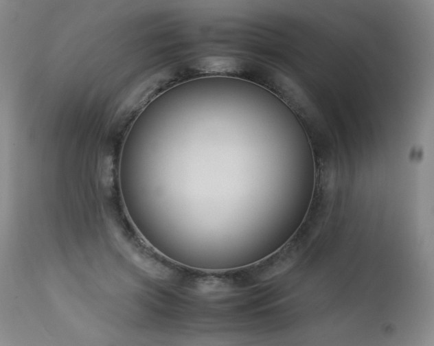 X0000113040549200908271508