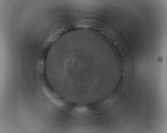 X0000113040551200908271508