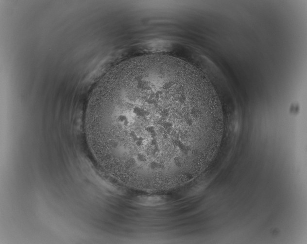 X0000113040553200908271508