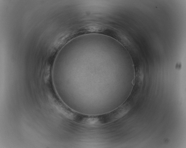X0000113040554200908271508