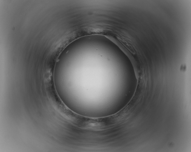 X0000113040555200908271508
