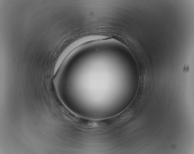 X0000113040558200908271508