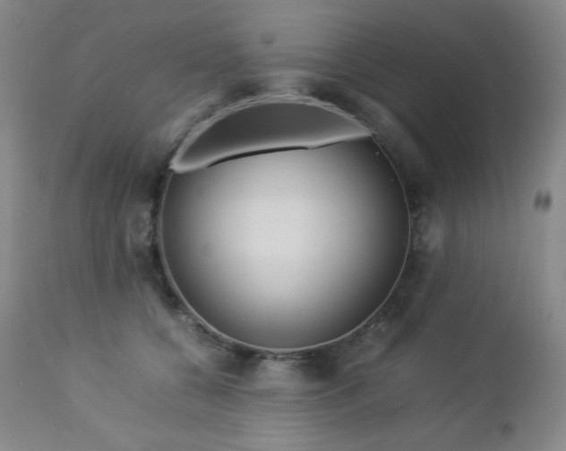 X0000113040560200908271508