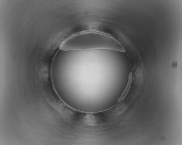 X0000113040562200908271508