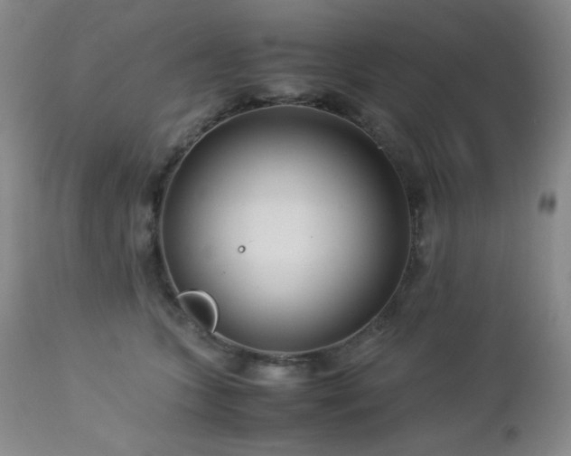 X0000113040563200908271508