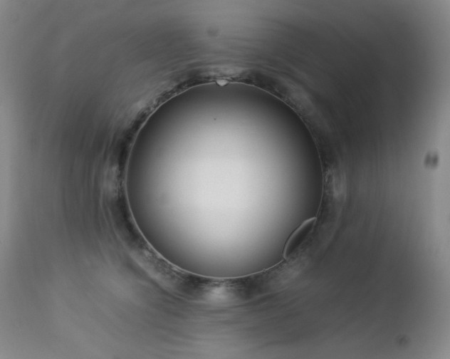 X0000113040564200908271508