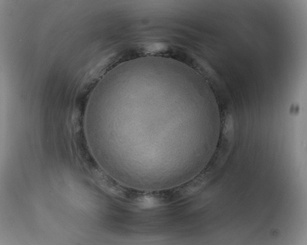 X0000113040565200908271508