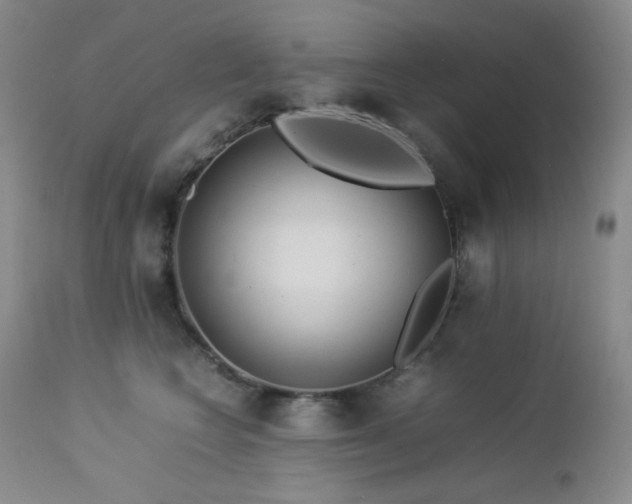 X0000113040566200908271508