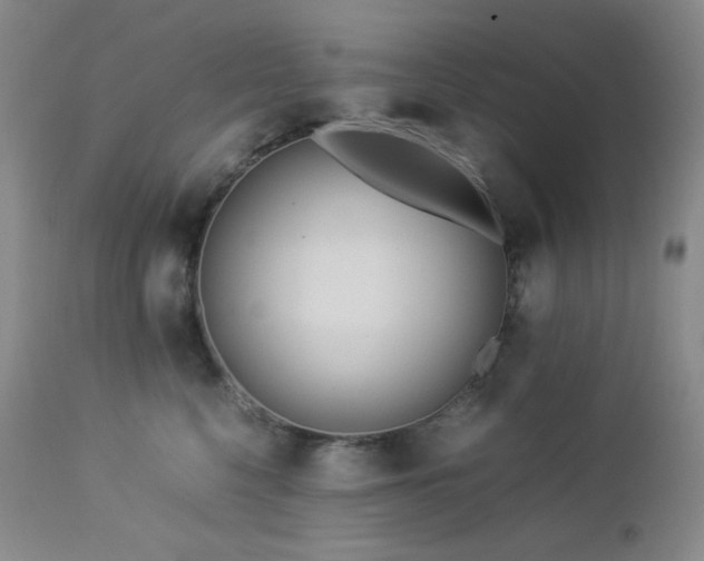 X0000113040568200908271508