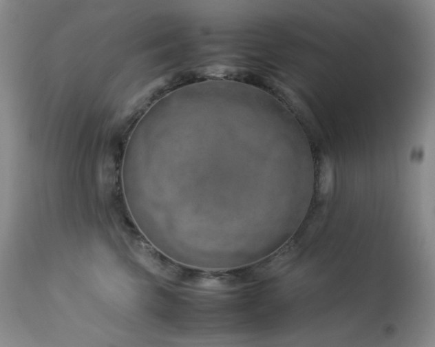 X0000113040569200908271508