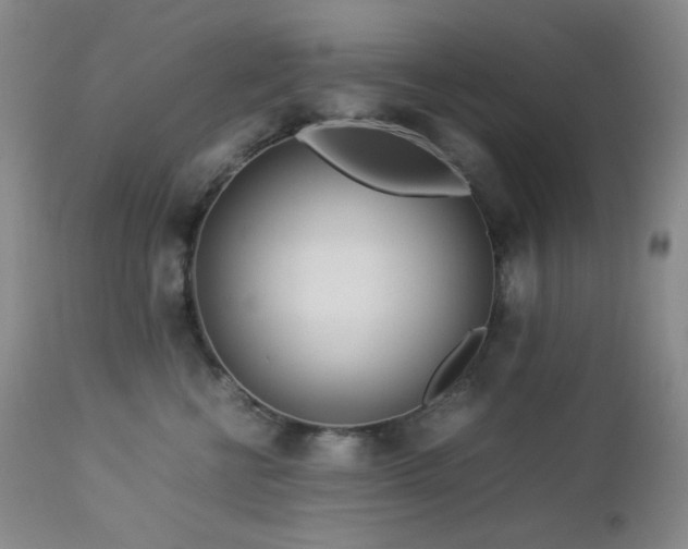 X0000113040570200908271508