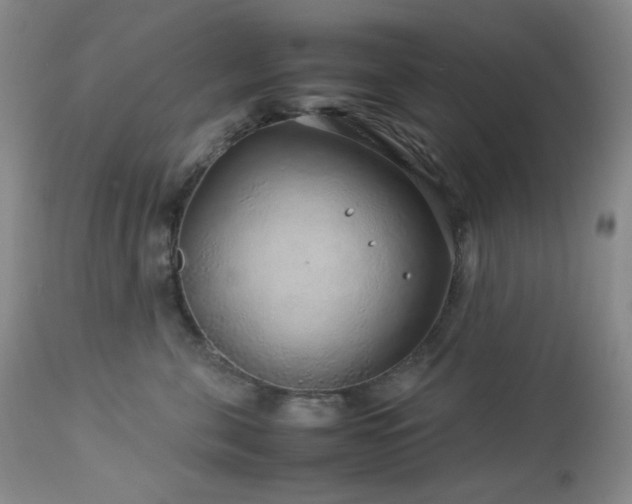 X0000113040571200908271508