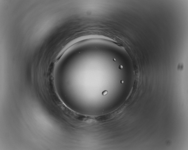 X0000113040572200908271508