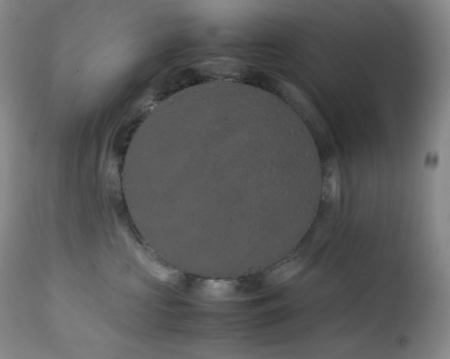 X0000113040573200908271508