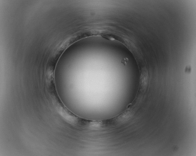 X0000113040574200908271508