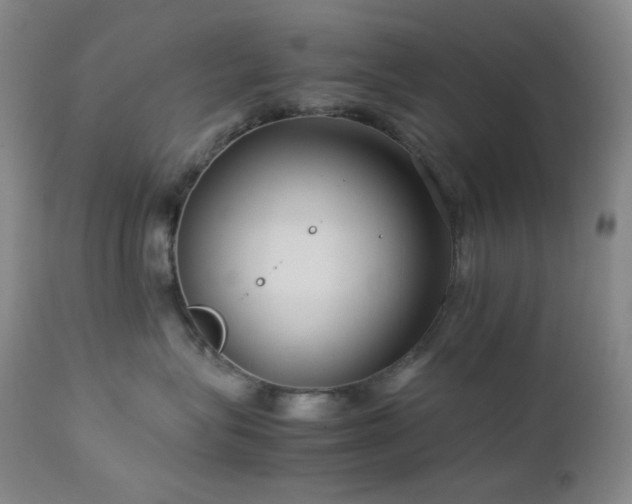 X0000113040575200908271508