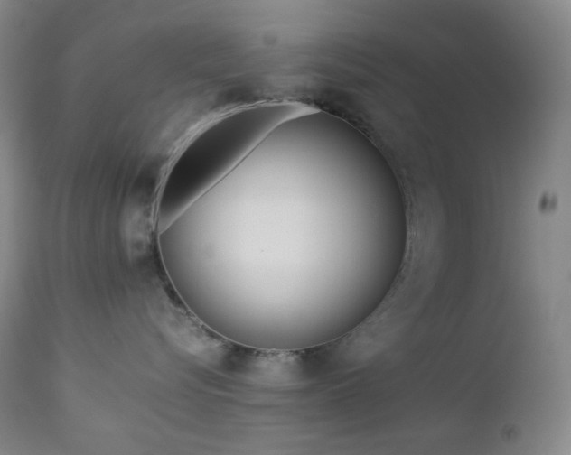 X0000113040576200908271508