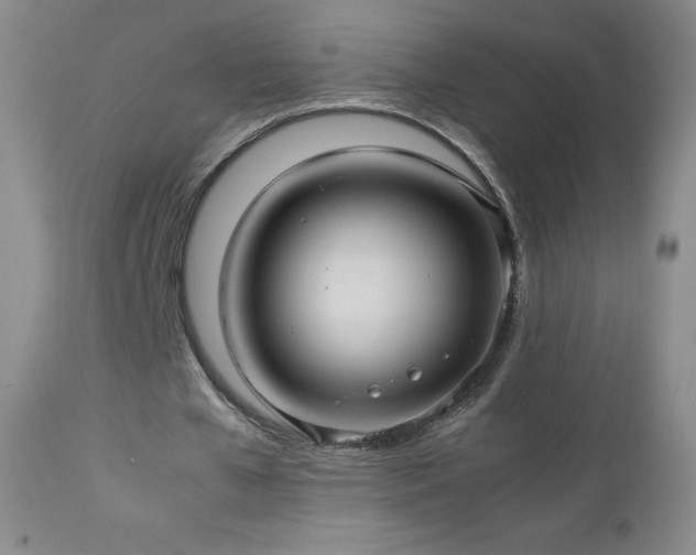 X0000113040577200908271508