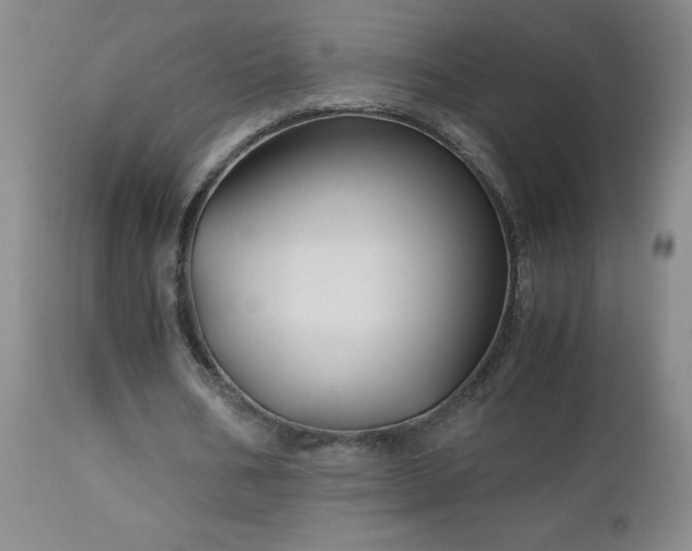 X0000113040578200908271508