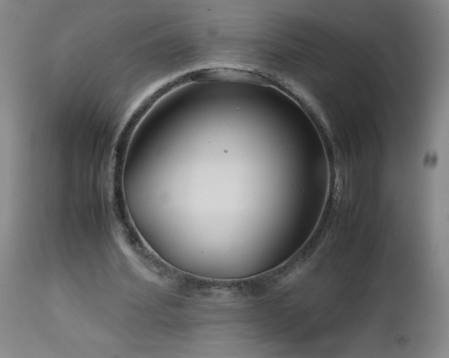 X0000113040580200908271508