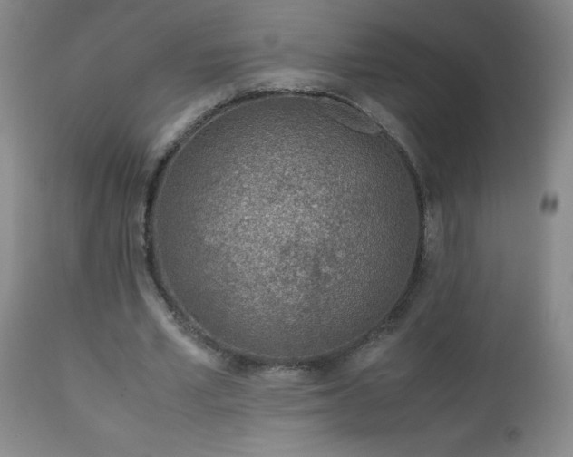 X0000113040581200908271508