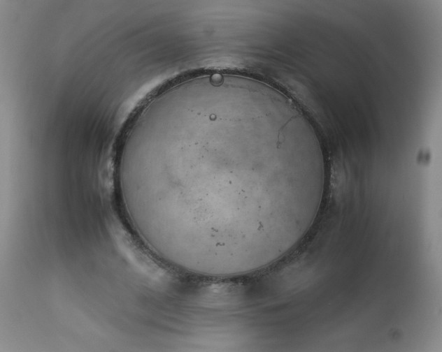 X0000113040584200908271508