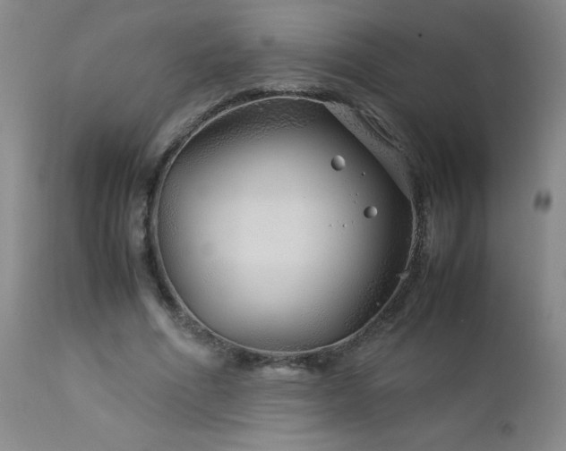 X0000113040586200908271508