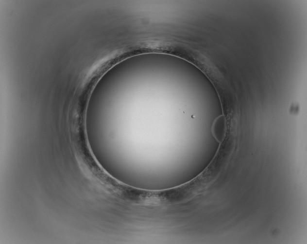 X0000113040587200908271508