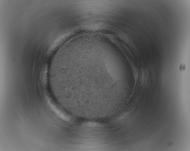X0000113040590200908271508