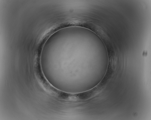 X0000113040591200908271508