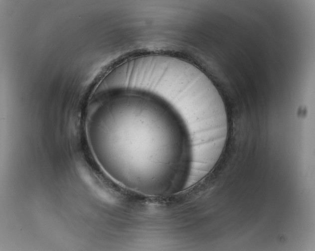 X0000113040592200908271508