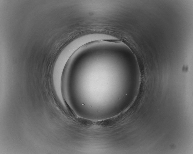 X0000113040593200908271508