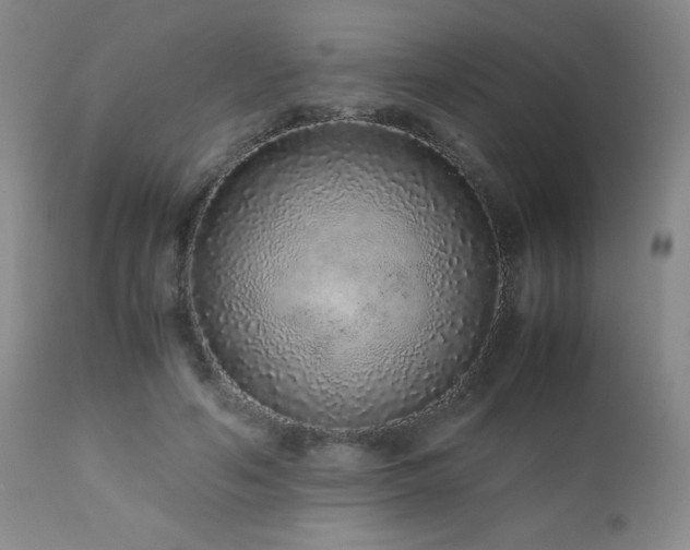 X0000113040594200908271508