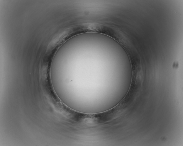 X0000113040595200908271508