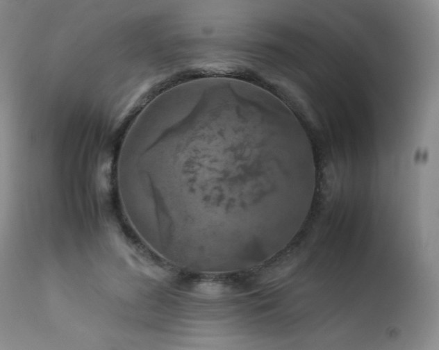 X0000113040596200908271508